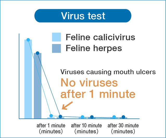 ウイルス試験 ネコカリシウイルス ネコヘルペスウイルス ネコの口内炎を起こしやすいウイルス 1分後に検出されず